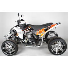 ЕЭС дорога правовой ATV квадрациклах 250cc